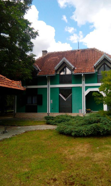 Planinska Kuca Vila Mokra Gora Exterior foto